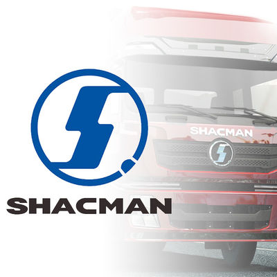 Shacman Truck Cabin Exterior Parts Đèn đèn pha Đèn chống tháo Phân tích gương chiếu hậu